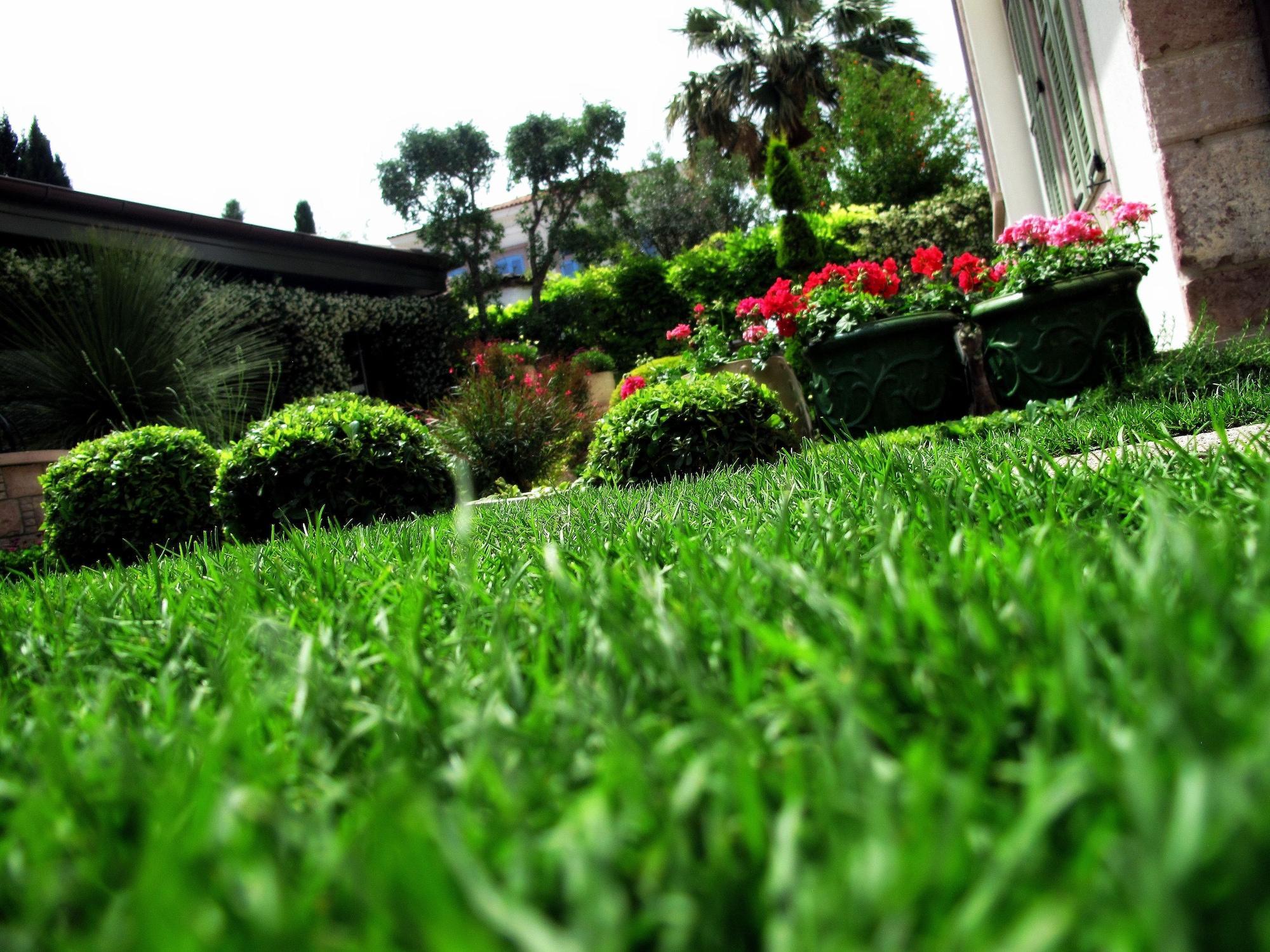 Nisi Hotel (Adults Only) Ayvalı Exteriér fotografie